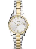 Fossil ES4319